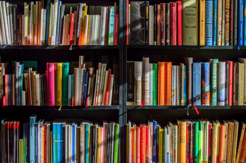 ecommerce--min_books_bookstore_book_reading_shop_writer_sale_books_read-822866
